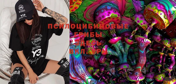 мяу мяу мука Алзамай