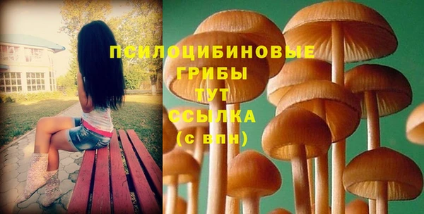 экстази Алексеевка