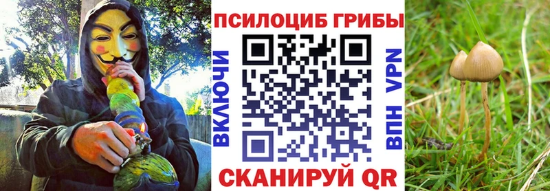 Псилоцибиновые грибы Cubensis  Сасово 